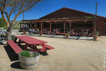 Lovely Rio Seco Vineyard