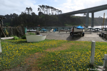 View of front porch "happy hour" area by the harbor entrance. This was lovely!