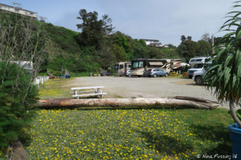 View of park from back-end. Our rigs in sites on right (#5,#7), empty row of sites on left.