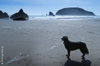 Oh Oregon, how I have missed thee!
