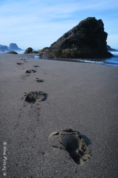 Come walk this path with me...