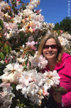 Oh the Rhododendrons