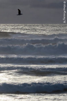 Do you feel that ocean breeze?
