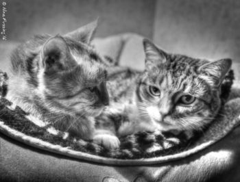 And to snuggle with her sister