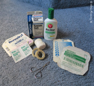 Just a few of the items in our (very) simple pet emergency pack