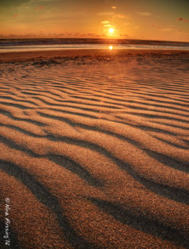 I took this peaceful pic that very first night I walked to the beach