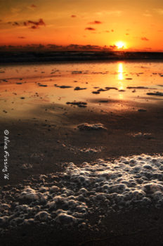 Calm evening by the beach