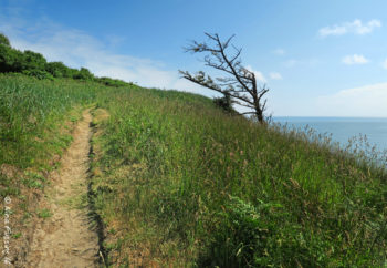 Hiking to the museum
