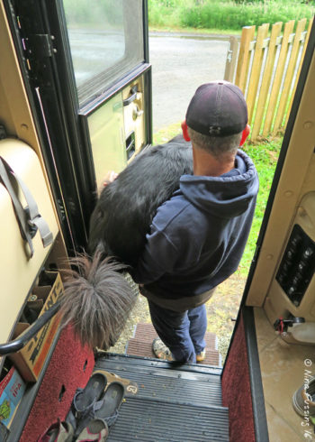 It's a squeeze out the RV