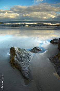 Afternoon reflections