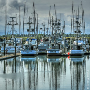 The port of Ilwaco