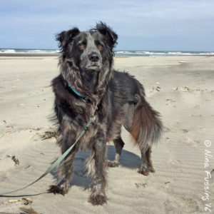 No more beach-time after June, but I think we're going to be OK