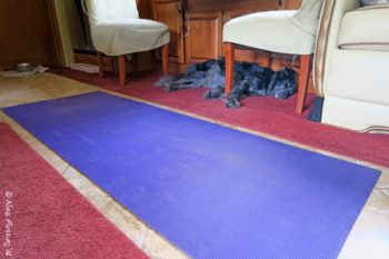 We have yoga mats on the floor for "grip". You can see Polly in her resting place by the dinette.