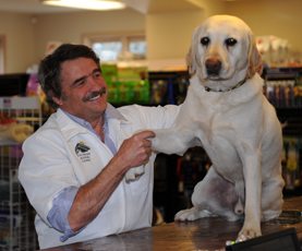 Pic of Dr.Randy (from sun valley animal center website)