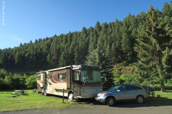 Our very green site at Hilgard Junction State Park
