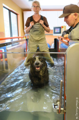 Hydrotherapy has been AWESOME!