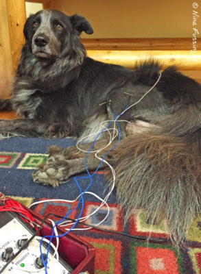 A little nervous during acupuncture