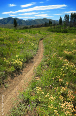 We're definitely going to miss these gorgeous trails