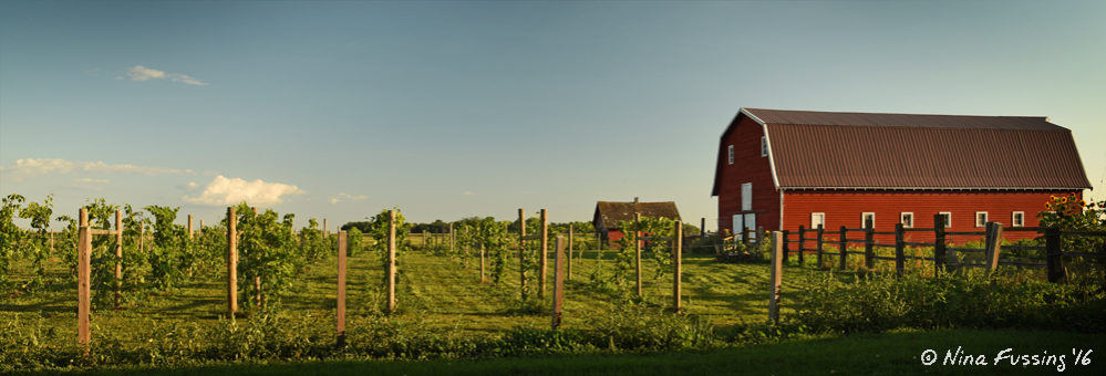 The red barn at 4e Winery