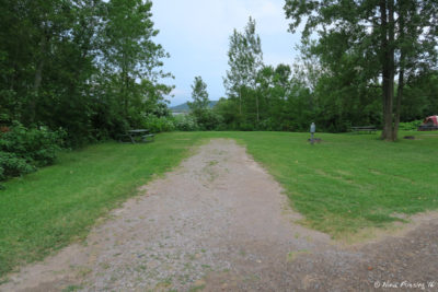 View of one of very private electric-only sites. This is #56.