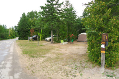 More section D campsites. Site 145 on right with 146 next to it.