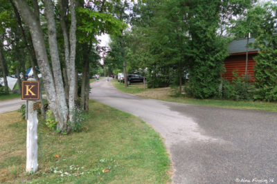 View down K section. These sites are heavily forested and do not have any water views.