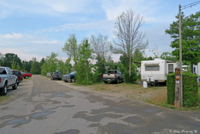 More central row views. This is row #6 viewed from the front Site 1146 on right with 1145 behind.