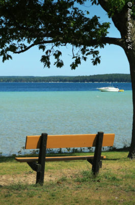 Lovely Higgins Lake