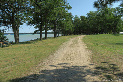The lovely walking trail by the lake