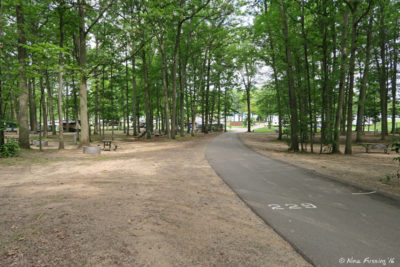 View of typical shaded/wooded site towards beginning of loop 228-257. Pull-through site 229 on left with 231 behind it.