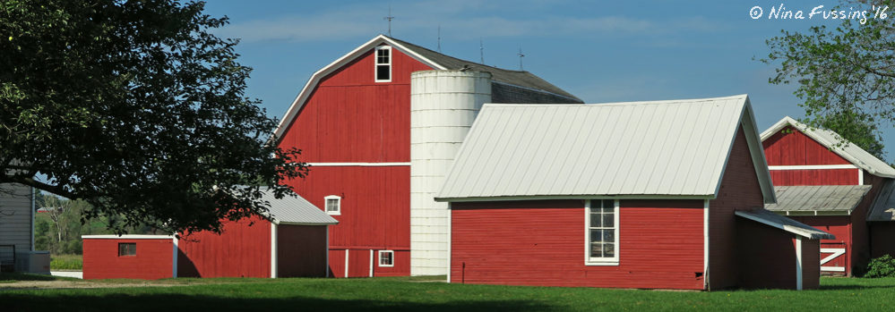 So much pretty red and white