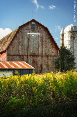 Weathered wood and roofs near Chelsea MI