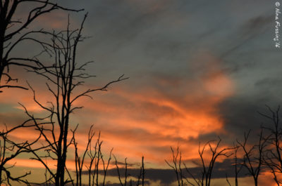 And sunsets...