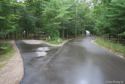 Loop 2 sites. Empty site 205 on left with 204 behind.
