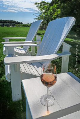 Our Polly-friendly wine drinking area