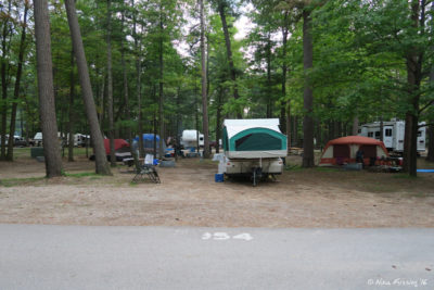 Interior sites near entrance. Site 354 in center with 352 on left, 356 on right. Multiple sites share a power pedastool.