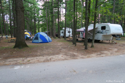 More interior sites near center. Site 213 in center with 211 on right.