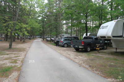 Edge sites near middle on Southern side. Site 23 on right with 25 right behind it. These are all nice and quiet.