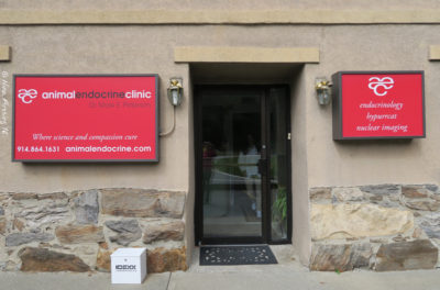 The Hypurrcat Clinic in Bedford Hills
