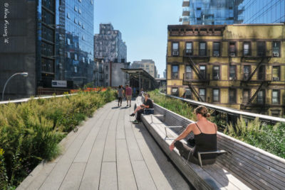 The highline is an oasis above the city