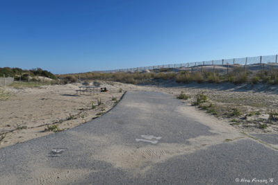 View of "corner" site in A loop. This is A14 and these corner sites tend to have better separation. Dune behind leads to beach.