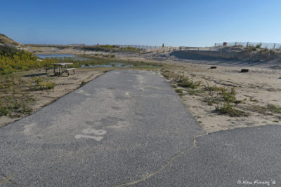 View of "corner" site in D loop. This is D18