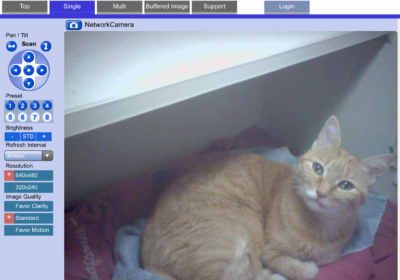 I was able to watch Taggart all-day on the kitty cam