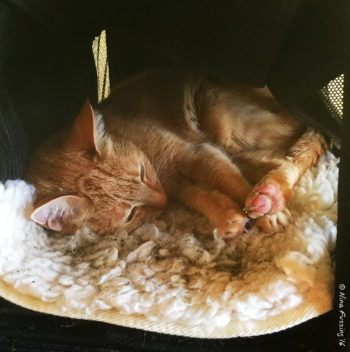 Taggart slept for 24 hours straight when she came home