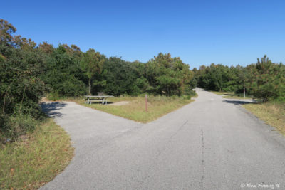 View further down P Loop along the top-tier sites. site P60 on left with P58 barely visible behind.