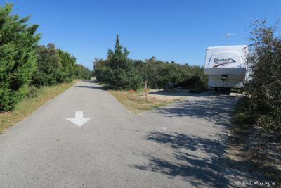 More views of top-tier sites in P Loop. RV in site P61 on right. Separation & privacy are great up here.
