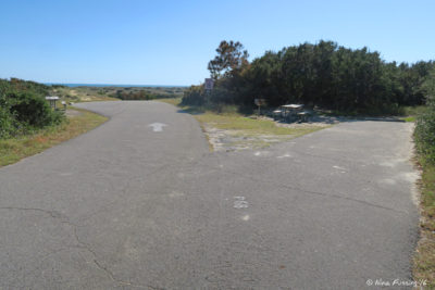 View of end of top-tier sites in P Loop. Site P68 on right with pull-in P63 on left. Both these sites have great views of the dunes/ocean.