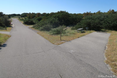 View down A connector. Site A9 on left with A7 behind it. Too many stickies for us in this area.