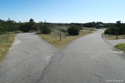 View down B connector. Site B12 on left with B10 behind. These were some of the longest sites in this area.