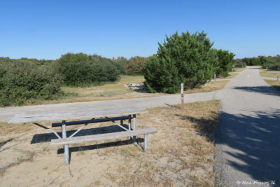 Beginning of P Loop along lower-tier sites. Site P5 on left with P7, P9 behind it. Sites were nicely large and level in this area.